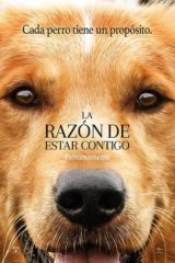 la razon de estar conrigo 1080p latino