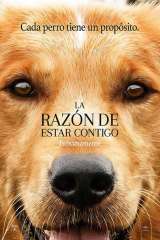 la razon de estar contigo 32852 poster