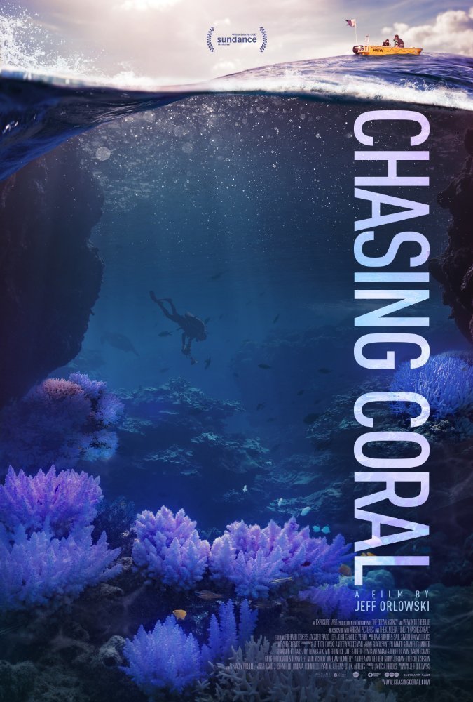 chasing coral 34765 poster