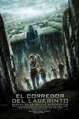 el corredor del laberinto 34584 poster