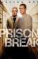 prison break temporada 1 hd latino
