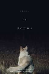 llega de noche 35743 poster