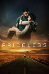 priceless 36048 poster