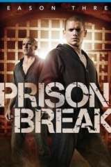 prison break temporada 3 latino