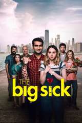 the big sick 35922 poster