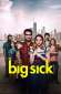 the big sick 35922 poster