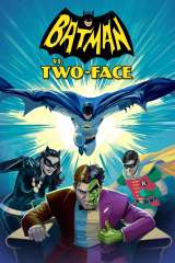 batman vs two face 36734 poster