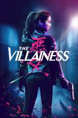 the villainess 40150 poster