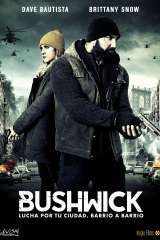 bushwick 43366 poster
