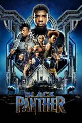 black panther 43631 poster