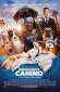 superagente canino 45791 poster