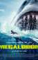 megalodon 47268 poster