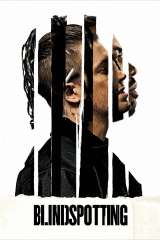 blindspotting 47465 poster