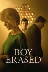 boy erased 48819 poster