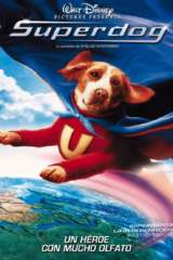 superdog 49635 poster