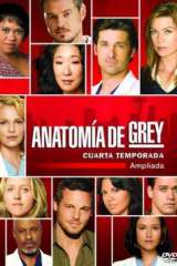 Pack Anatomia de Grey 4 Temporada ampliada