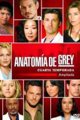 Pack Anatomia de Grey 4 Temporada ampliada