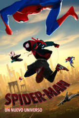 spider man un nuevo universo 50144 poster