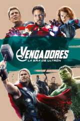 vengadores la era de ultron 52611 poster