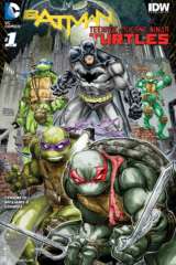 batman vs teenage mutant ninja turtles 53235 poster