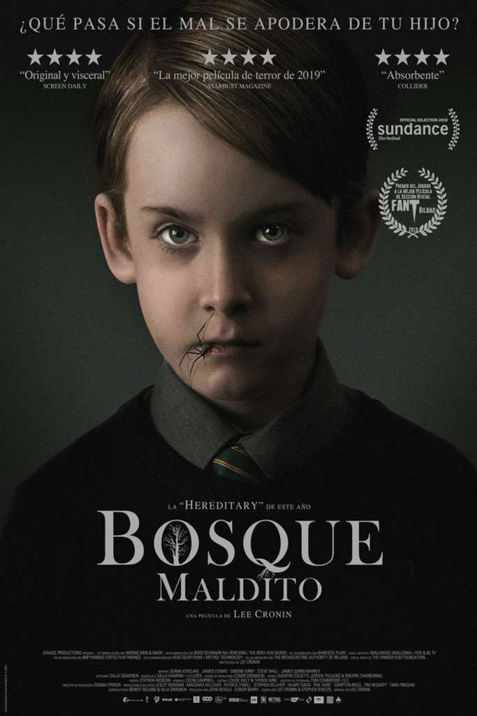 bosque maldito 56152 poster